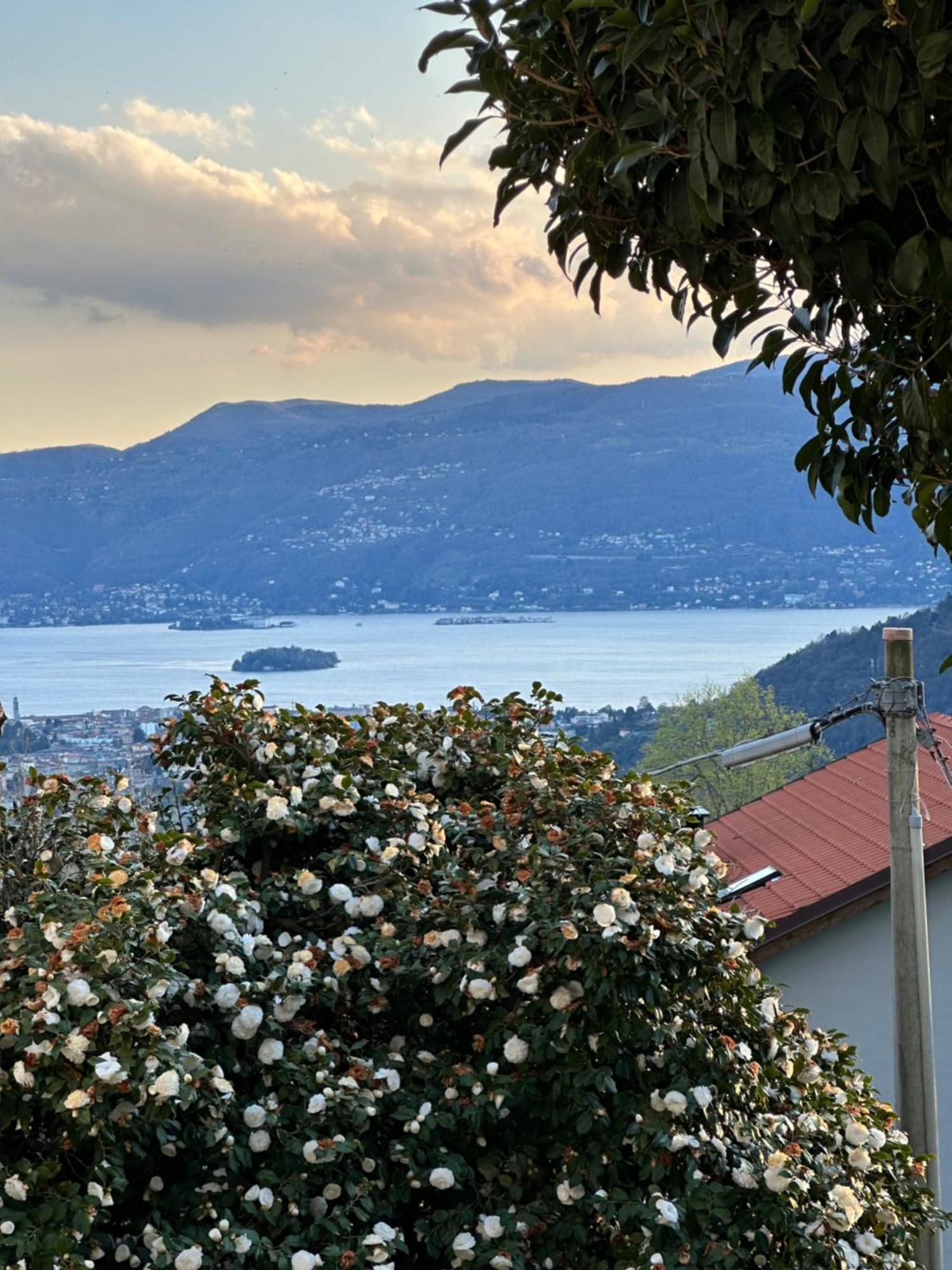Villa Simonetta Bee Extérieur photo
